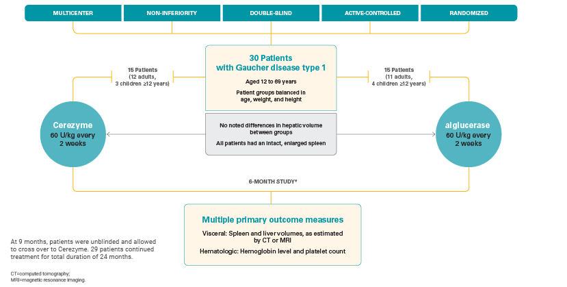 Cerezyme proven safe and effective in a pivotal phase 3 study